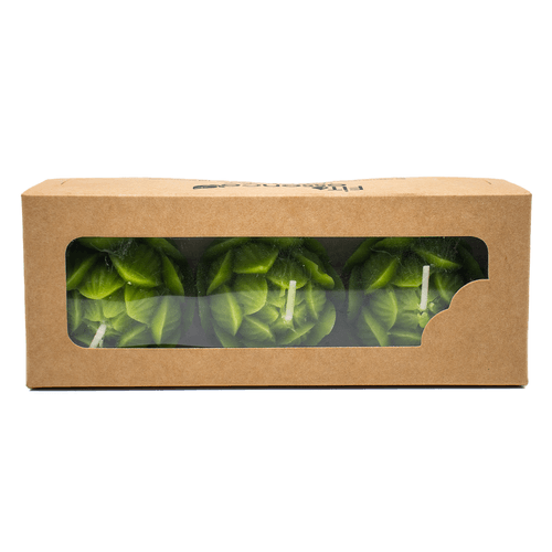 FITOESSENCE VELA FLOR PACK AROMA COCO 3UND