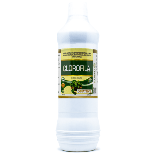 CLOROFILA EXTRACTO 600ML D'NATTIVE