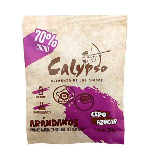 CHOCOBLUEBERRIES 70% CACAO CHUNCHO X 21GR